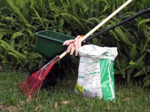 lawn tools and fertilizer