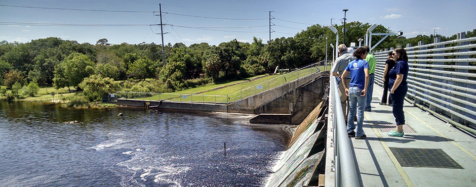 Freshwater is a lifeline for the Lower Hillsborough River