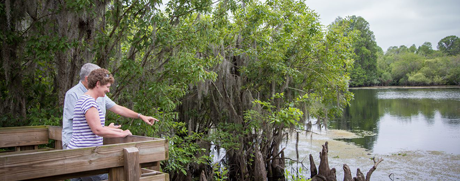 Discover the Hillsborough River’s wild side and join the County Hiking Spree