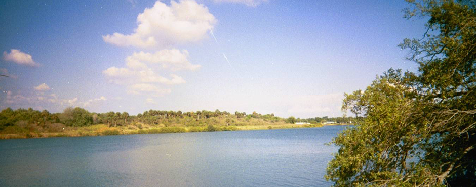 greater palm river